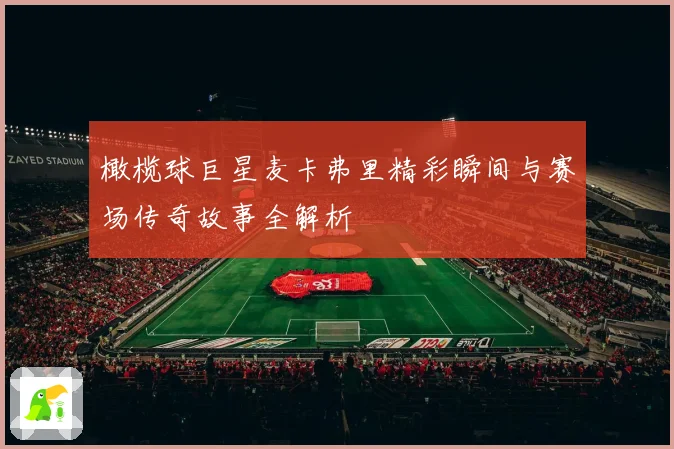 橄榄球巨星麦卡弗里精彩瞬间与赛场传奇故事全解析
