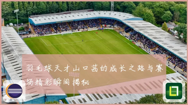 羽毛球天才山口茜的成长之路与赛场精彩瞬间揭秘