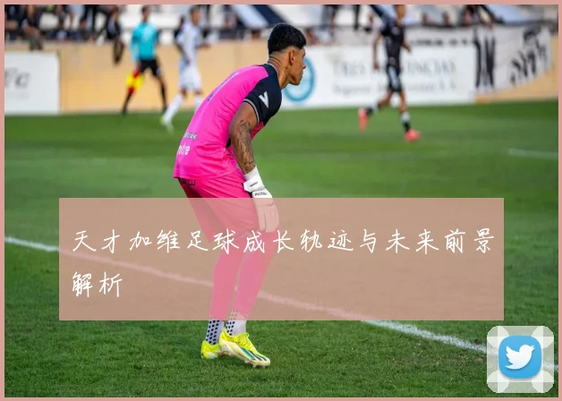 天才加维足球成长轨迹与未来前景解析